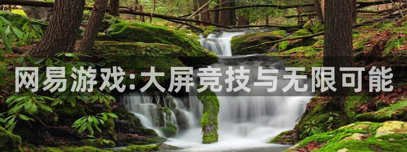 雷火竞技子最好看的小说