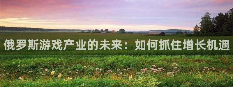 雷火竞技是什么品牌：俄罗斯游戏产业的未来：如何抓住增长机遇