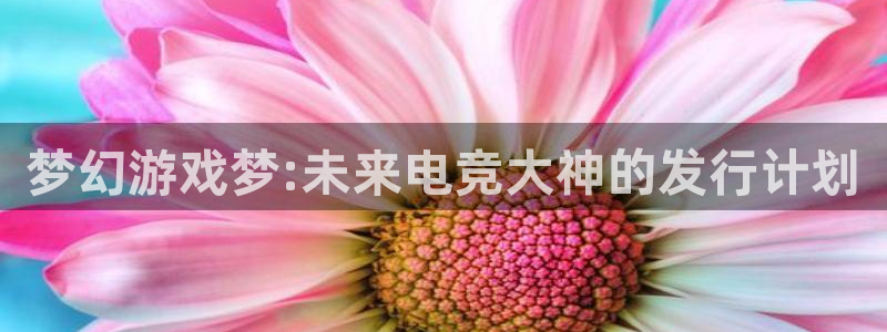 雷火电竞：梦幻游戏梦:未来电竞大神的发行计划