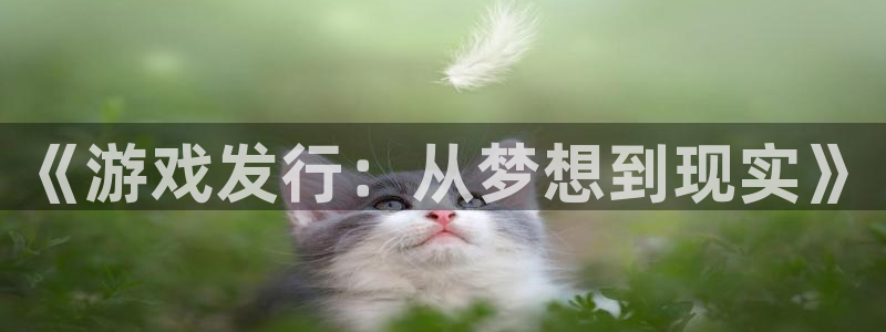 雷火竞技商标：《游戏发行：从梦想到现实》