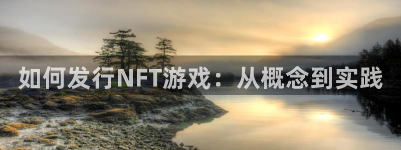 雷火竞技涂料(北京)有限公司：如何发行NFT游戏：从概念到实践