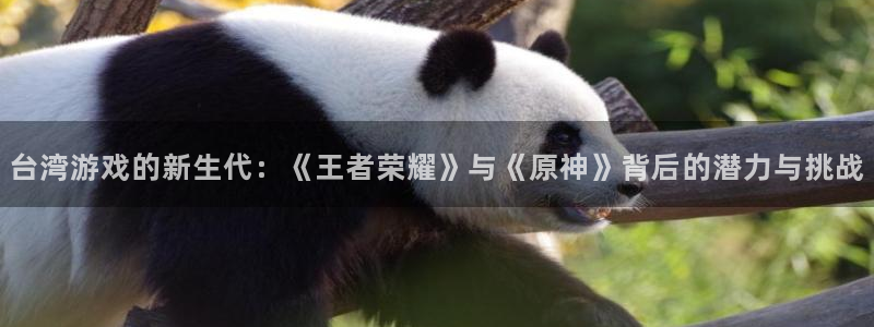 雷火电竞注册方法有哪些软件：台湾游戏的新生代：《王者荣耀》与《原神》背后的潜力与挑战