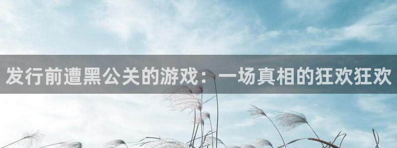 广东雷火竞技电子科技有限公司 联系电话