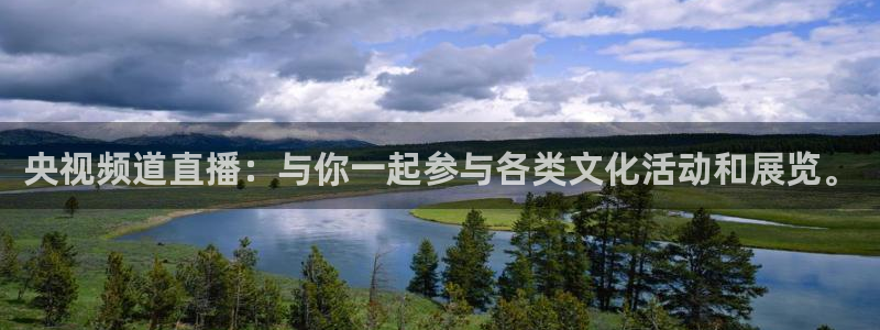 雨燕乐球直播：央视频道直播：与你一起参与各类文化活动和展览。