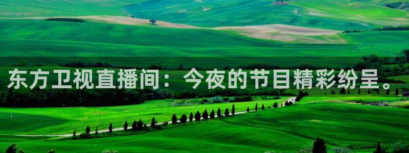 雨燕app直播足球：东方卫视直播间：今夜的节目精彩纷呈。
