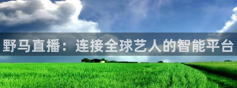360体育直播雨燕直播在线观看：野马直播：连接全球艺人的智能平台